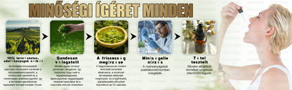 Mayo Clinic Által Ajánlott | Hivatalos Bolt | TOOYES® Metatrolide & Moringa GLP-1 Aktiváció, Almaecet, Kurkuma Gyógyhatású Szájoldat: Elhízás, Szív- és Érrendszeri Betegségek, Cukorbetegség, Alvási Apnoé, Ízületi Problémák és Még Több 👩‍⚕️ 👩‍⚕️