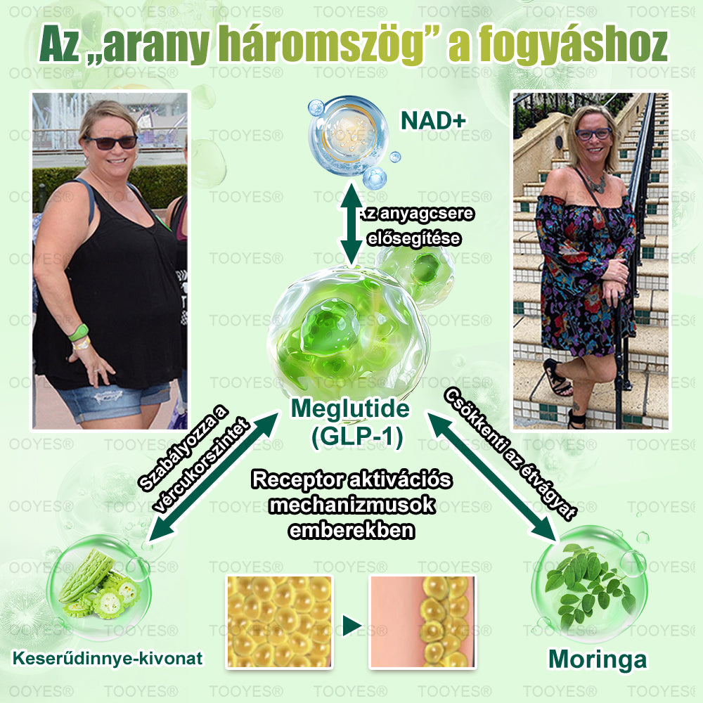 A Semmelweis Egyetem Orvostudományi Karának ajánlása | TOOYES® Meglutide GLP-1 aktiváló belsőleges oldat-Moringa - NAD+ -Yerba Mate-természetes támogatás a karcsúsításhoz, öregedésgátláshoz és a cukoranyagcseréhez